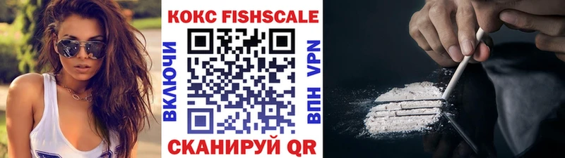 купить наркотик  Котельнич  Cocaine FishScale 