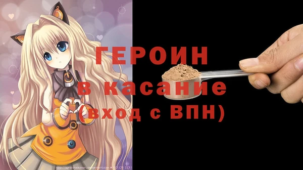 гидра Богородск