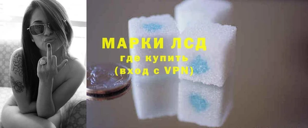шишки Белокуриха