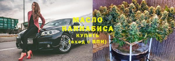 гидра Богородск