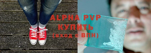 гидра Богородск